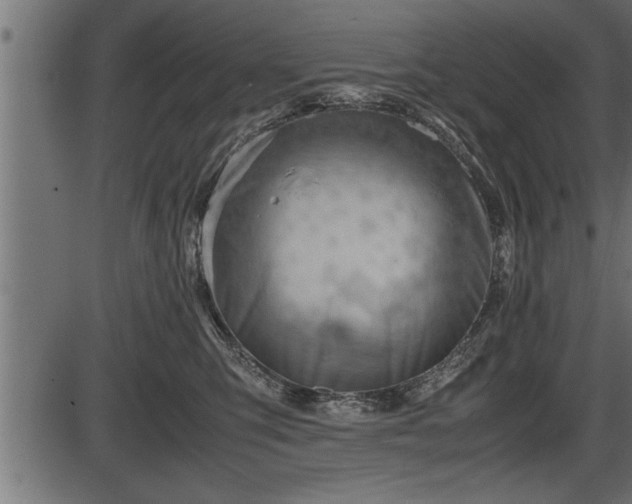 X0000086290423200704091000