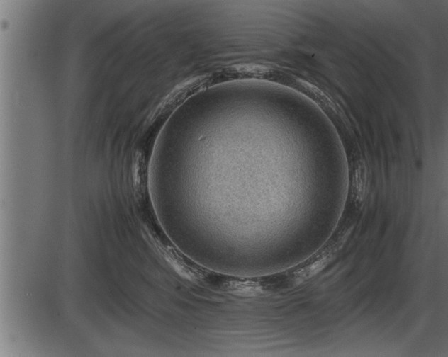 X0000086290424200704091000