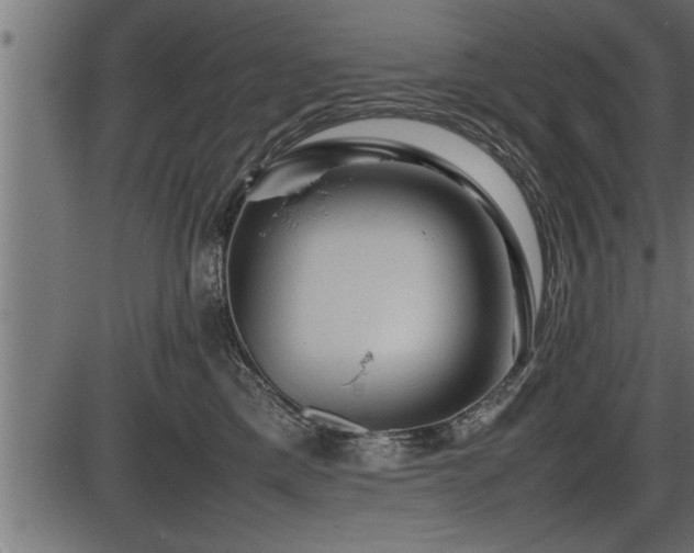 X0000086290425200704091000