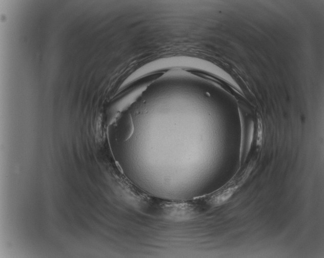 X0000086290428200704091000