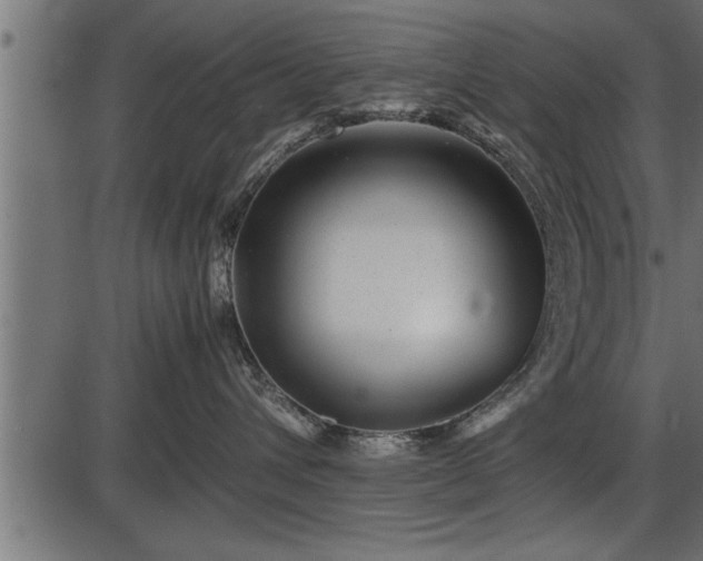 X0000086290432200704091000