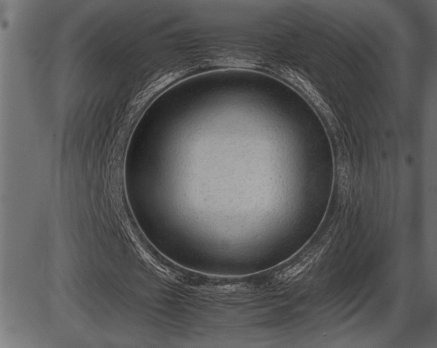 X0000086290433200704090959