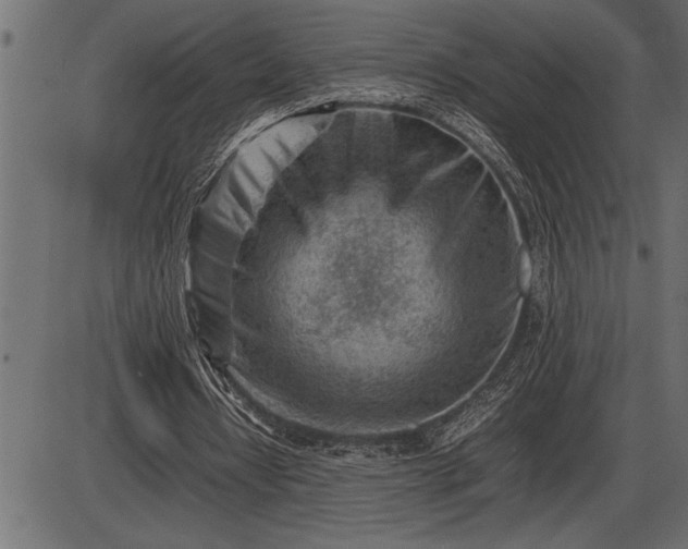 X0000086290434200704090959