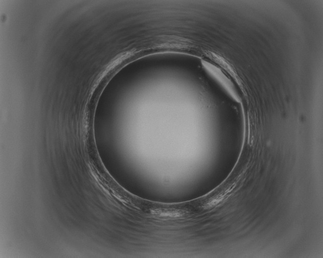 X0000086290435200704090959