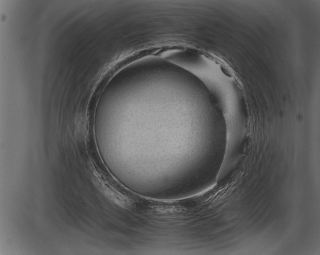 X0000086290439200704090959