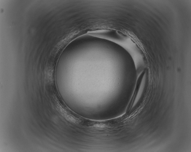 X0000086290441200704091000