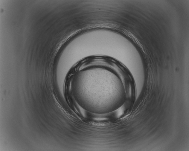 X0000086290444200704091000