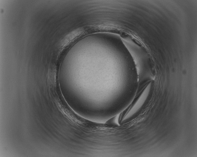 X0000086290446200704091000