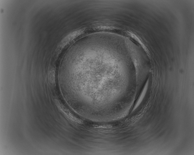 X0000086290447200704091000