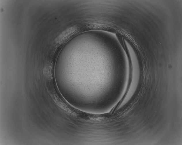 X0000086290450200704091000