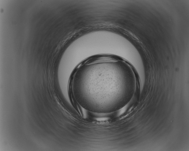 X0000086290452200704091000