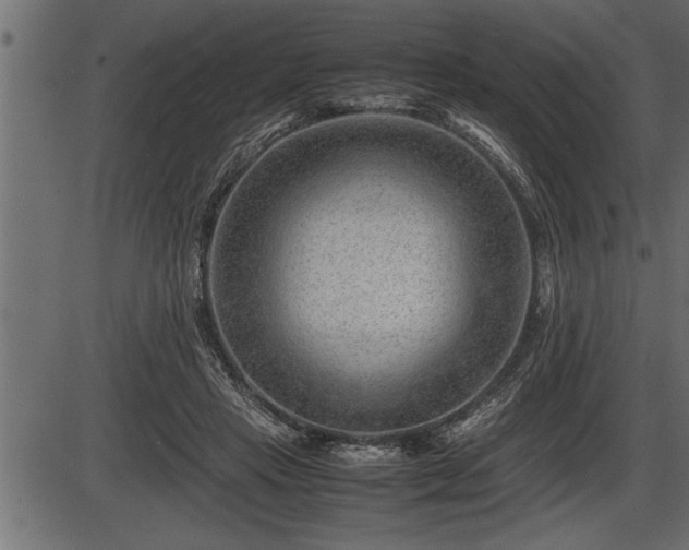 X0000086290453200704091000