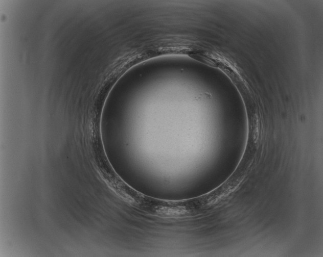 X0000086290455200704091000