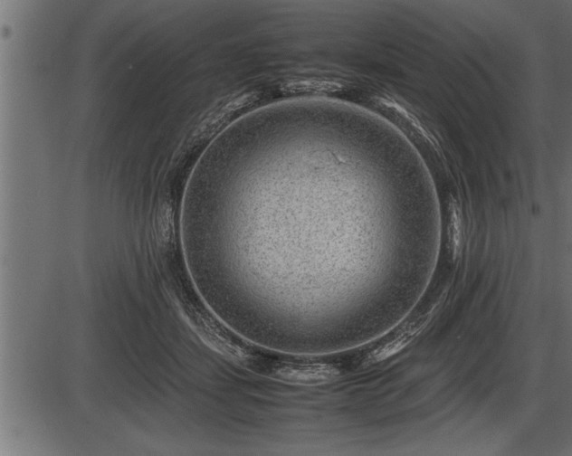 X0000086290459200704091000