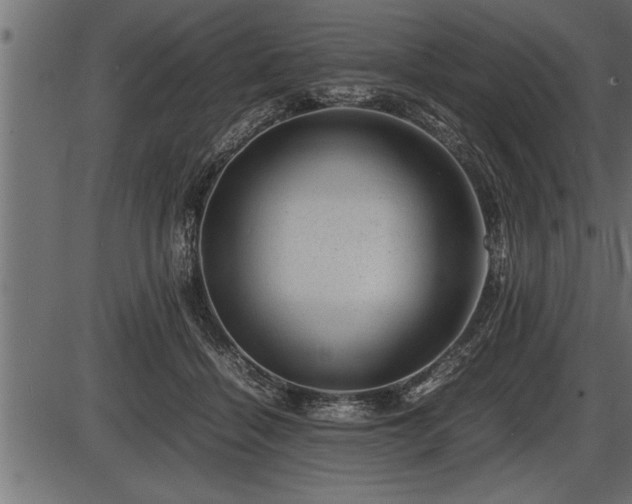 X0000086290460200704091000