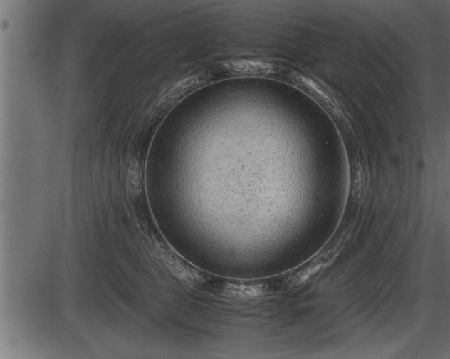 X0000086290469200704091000