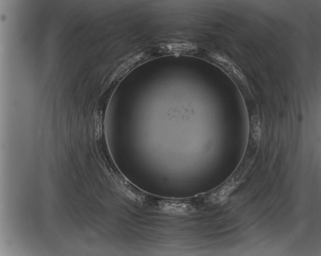 X0000086290471200704091000
