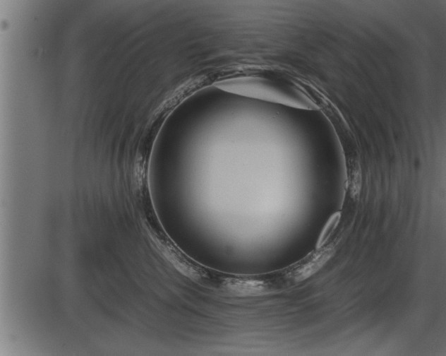 X0000086290476200704091000