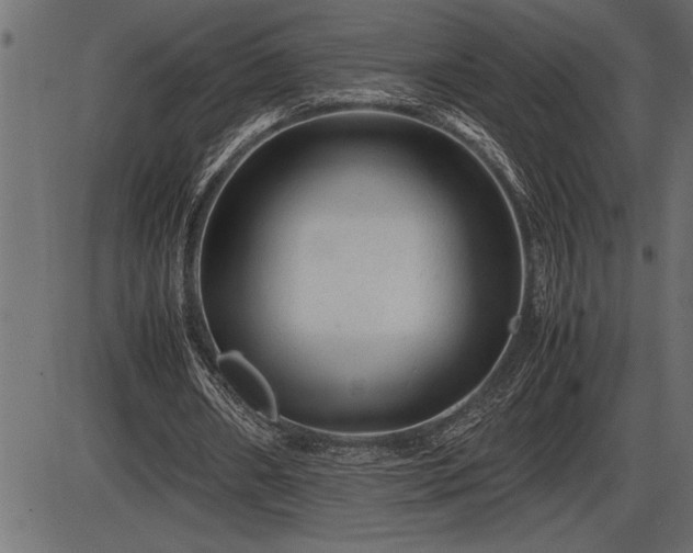 X0000086290482200704090959