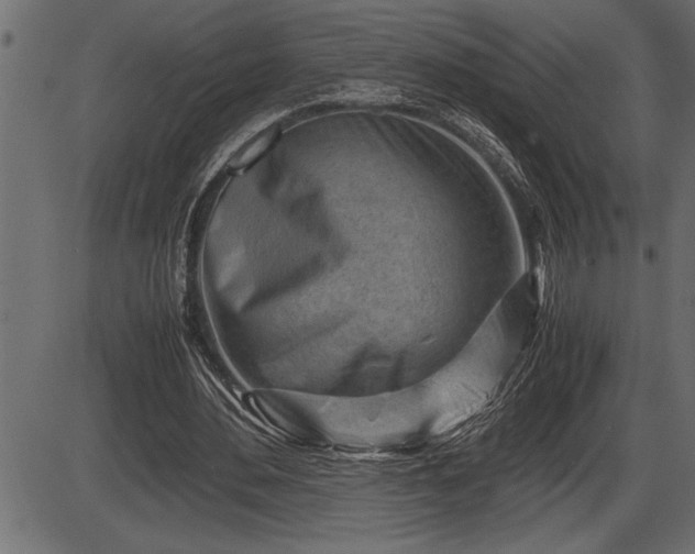 X0000086290484200704090959