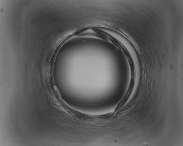 X0000086290485200704090959