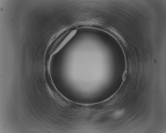 X0000086290486200704090959