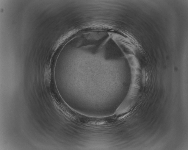 X0000086290488200704090959