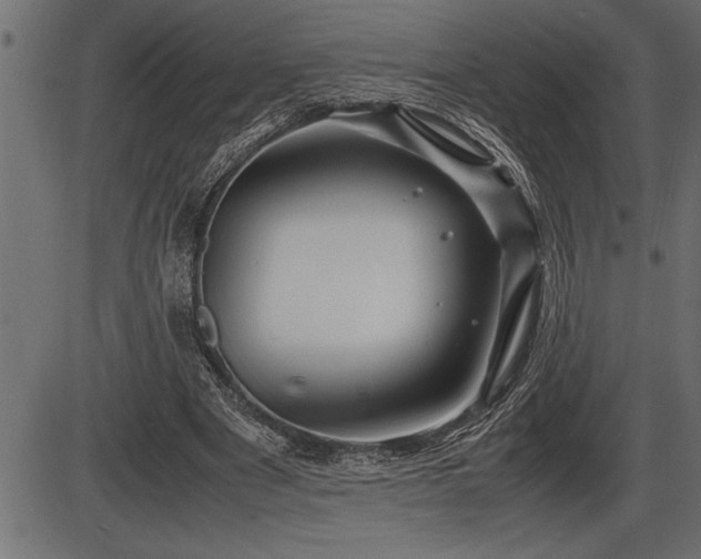 X0000086290489200704090959