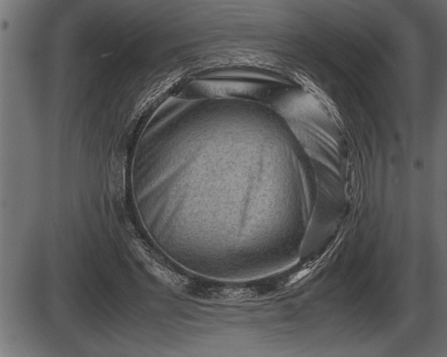 X0000086290493200704090959