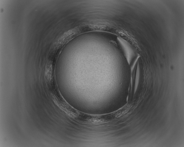 X0000086290498200704090959