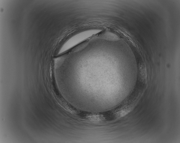 X0000086290499200704090959