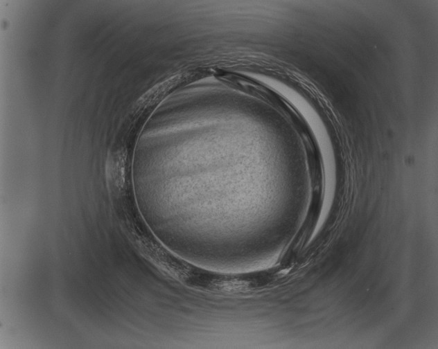 X0000086290501200704090959