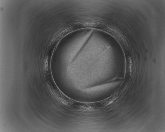 X0000086290502200704090959