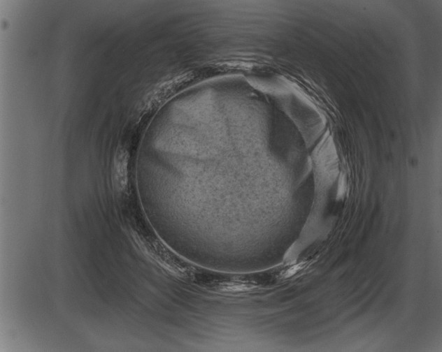 X0000086290504200704090959