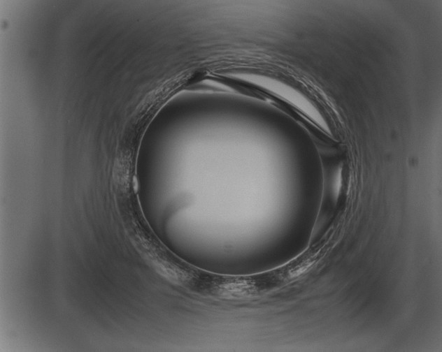 X0000086290505200704090959