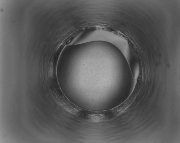 X0000086290508200704090959