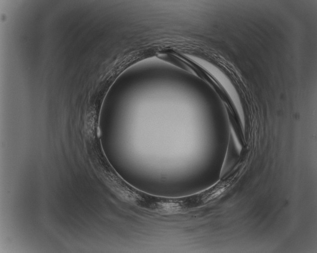 X0000086290509200704090959