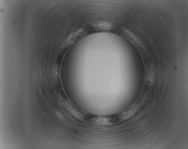 X0000086290518200704090959