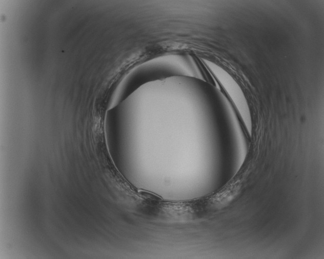 X0000086290521200704090959