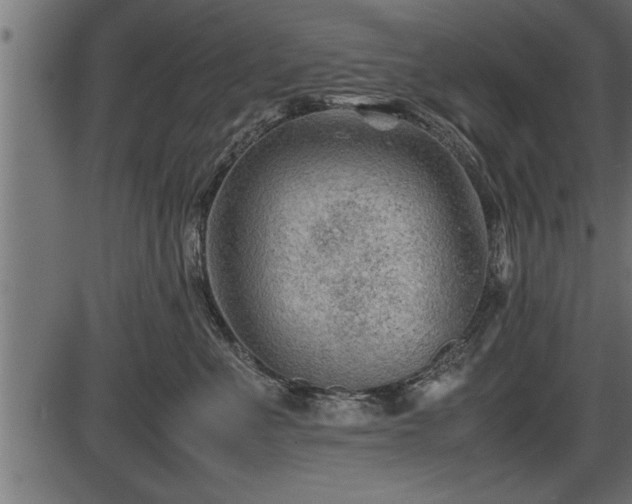 X0000086290523200704090959