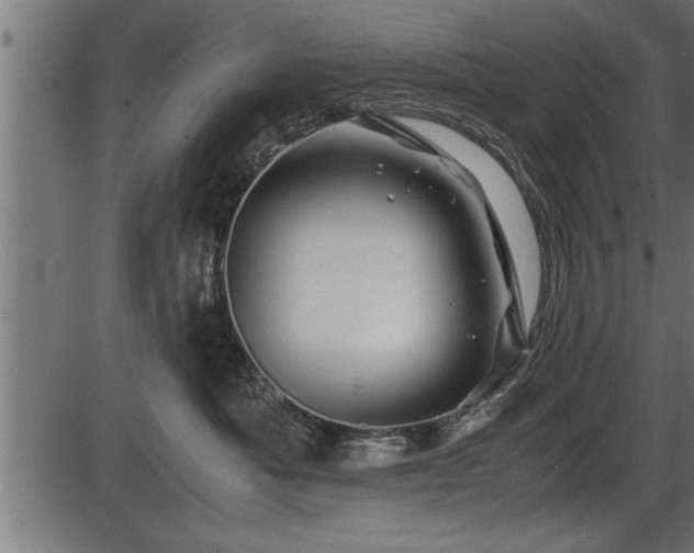 X0000086290525200704090959