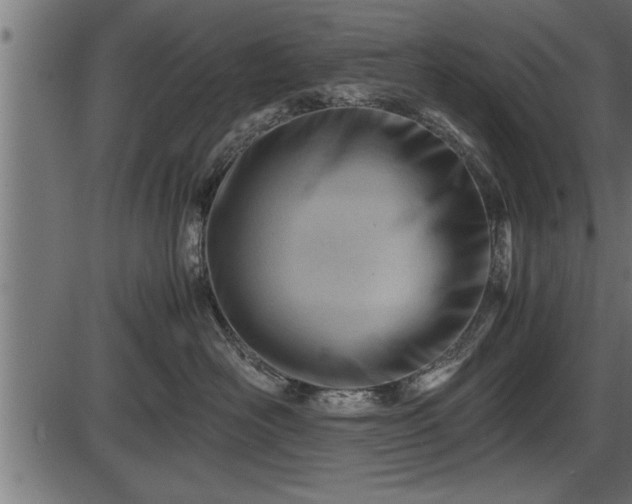 X0000086290526200704090959