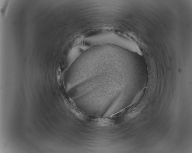 X0000086290528200704090959