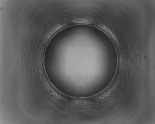 X0000086290529200704090958