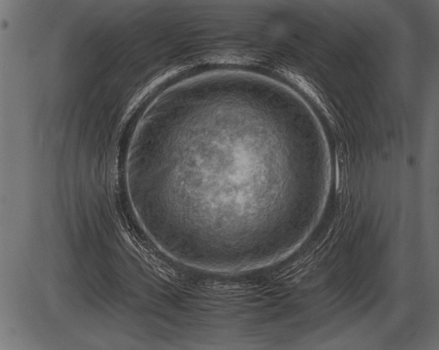 X0000086290531200704090958
