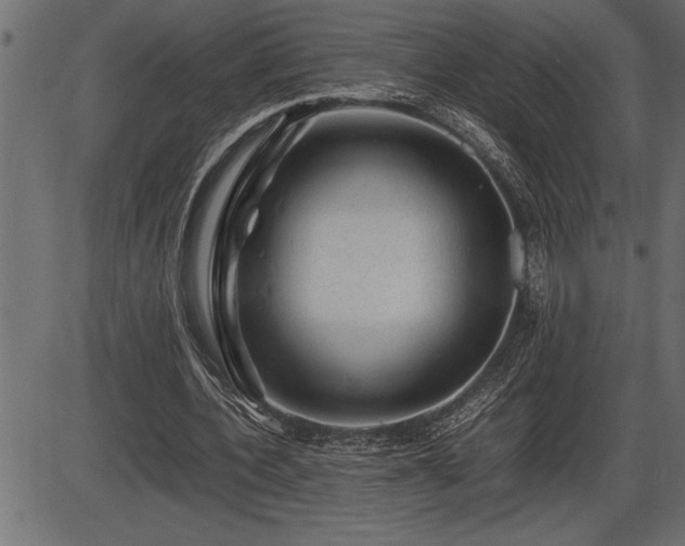 X0000086290532200704090958