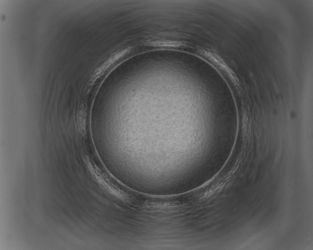 X0000086290533200704090958