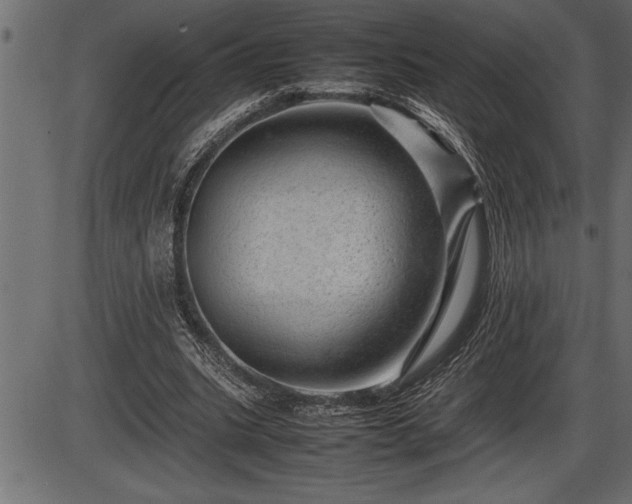 X0000086290535200704090958