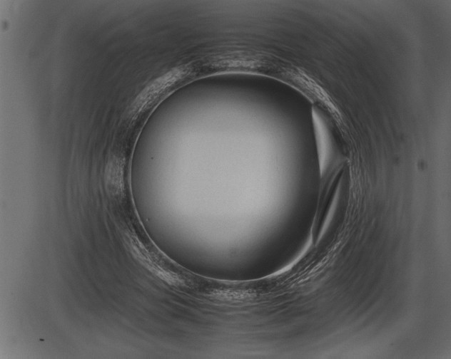 X0000086290537200704090958