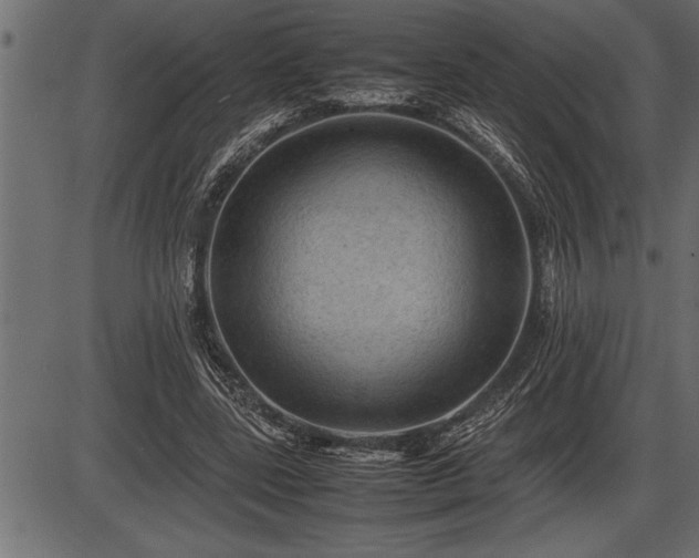 X0000086290539200704090958